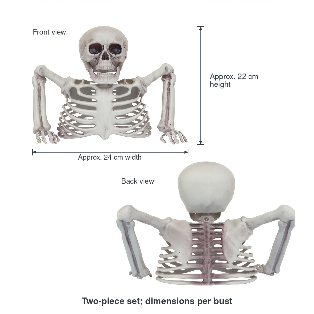 Back from Below front and back reference views, with approximate 22 cm height and 24 cm width per bust. Two-piece set; views do not represent four supplied pieces.