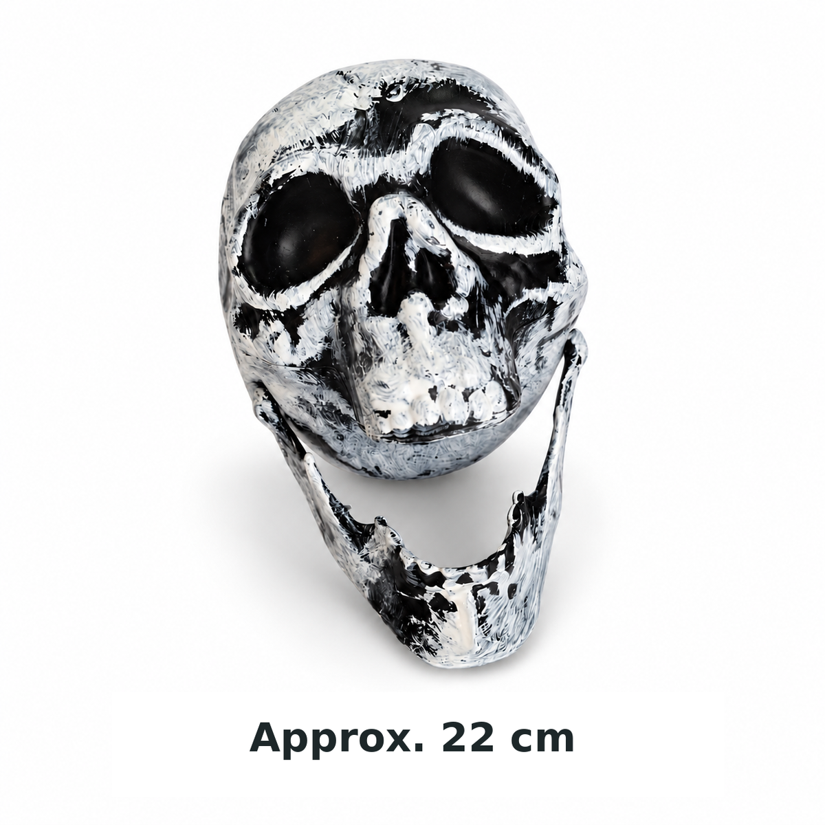 Heads Will Turn decorative skull head with an approximate 22 cm size caption; no measurement axis is shown.