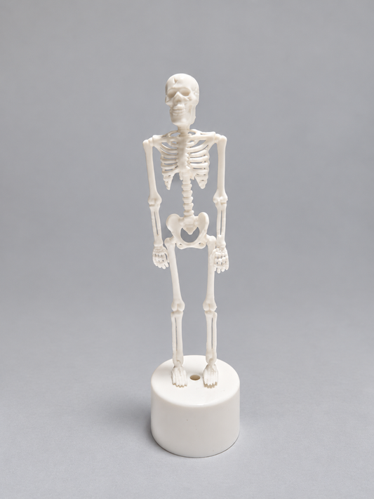 Light-up skeleton shown unlit on its round base, photographed from actual stock; background and lighting retouched