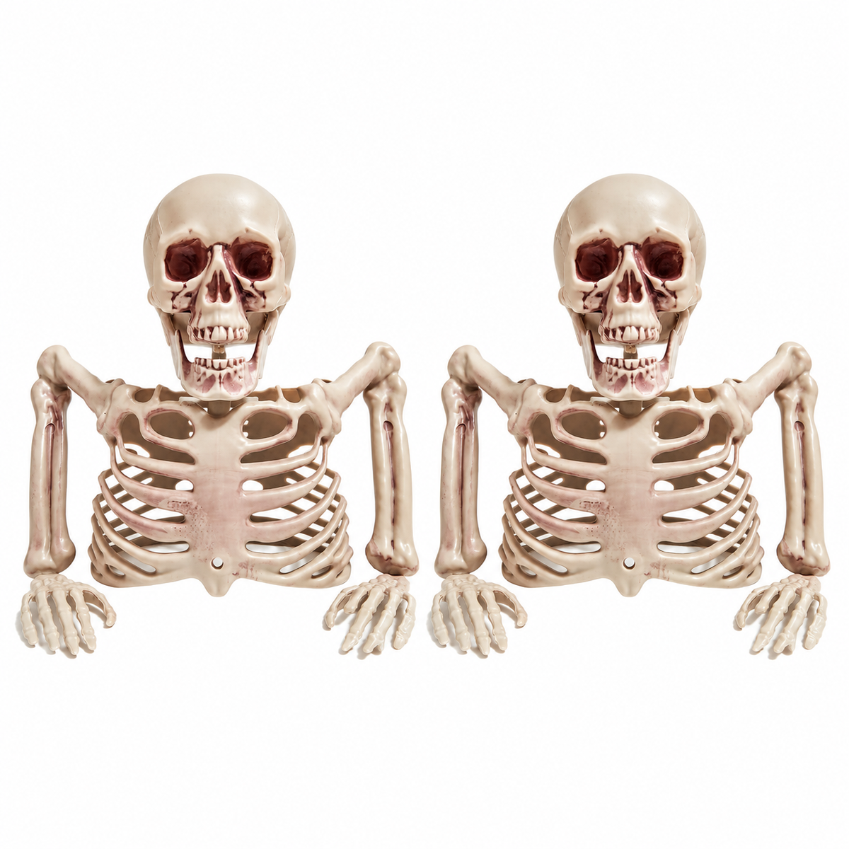 Back from Below on a white background. Two identical groundbreaker skeleton busts, approximately 22 × 24 cm each. Product-image background edited from source photograph; no dimensions or scene props.