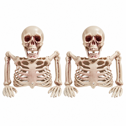 Back from Below on a white background. Two identical groundbreaker skeleton busts, approximately 22 × 24 cm each. Product-image background edited from source photograph; no dimensions or scene props.