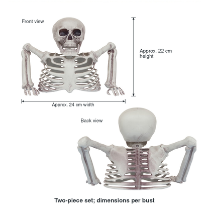 Back from Below front and back reference views, with approximate 22 cm height and 24 cm width per bust. Two-piece set; views do not represent four supplied pieces.