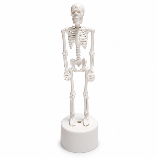 Box of Bones: one white plastic skeleton on its included cylindrical light-up base, shown unlit on white; background edited from the owner’s actual photograph.