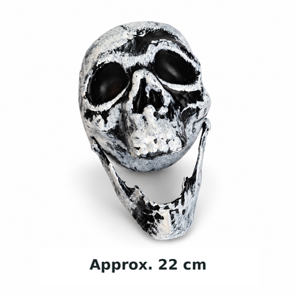 Heads Will Turn decorative skull head with an approximate 22 cm size caption; no measurement axis is shown.