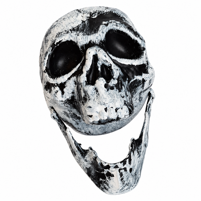 Heads Will Turn on a white background. One mottled white/black decorative skull head with open lower jaw. Product-image background edited from source photograph; no dimensions or scene props.